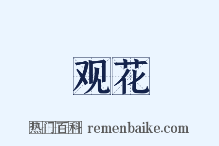 观花是什么意思的图片